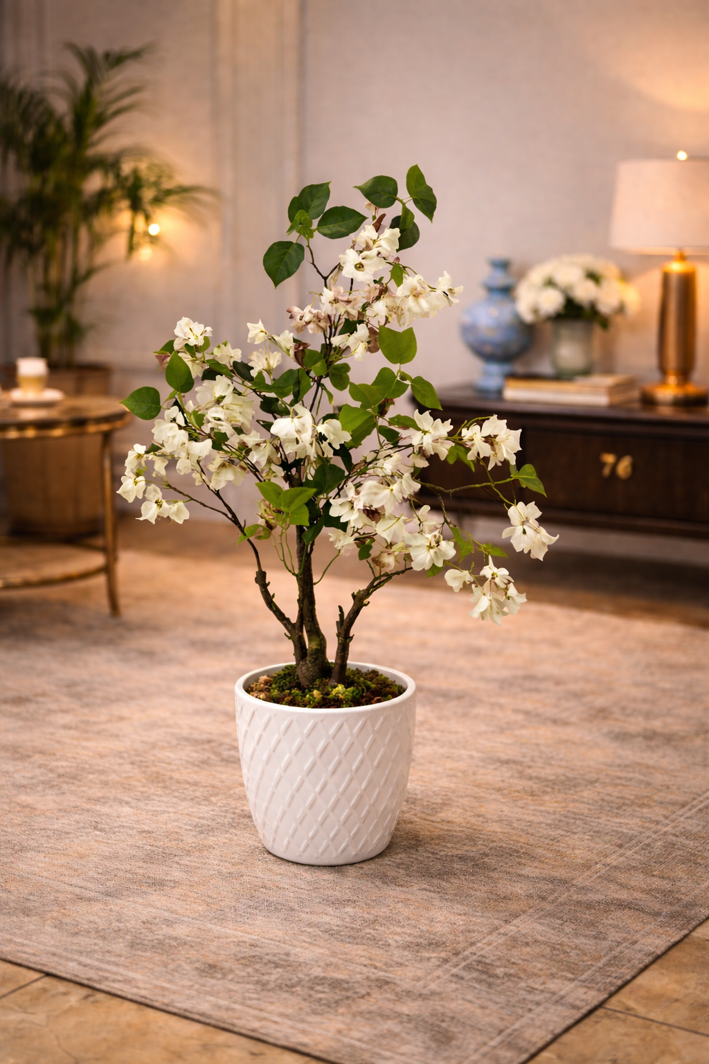 Evergreen Botanical Bougainvillea