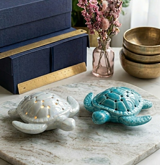 Turtle Décor Accent