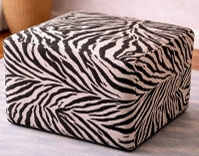 Zebra print ottoman on a light blue rug with plants around