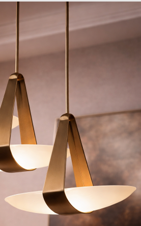 Hung Lights (Brown Bird Type)