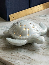 Two ceramic turtle-shaped lamps on a marble surface with decorative items in the background.